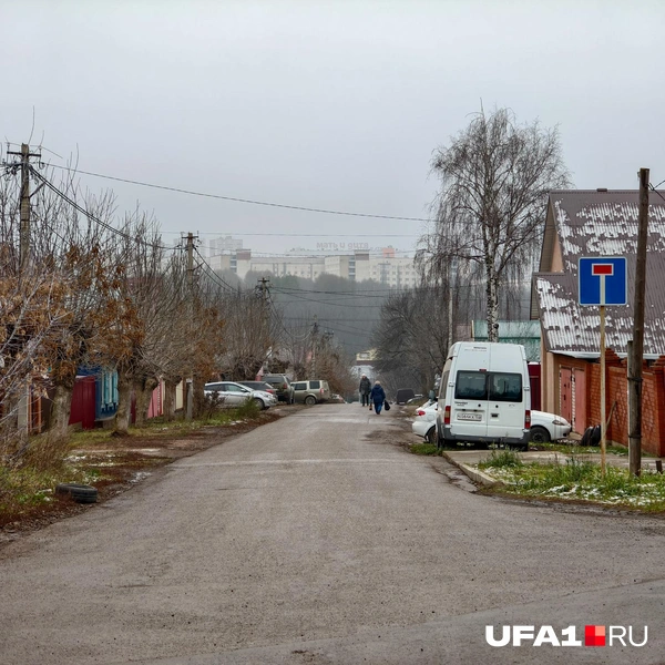 Атмосфера деревни | Источник: Булат Салихов / UFA1.RU
