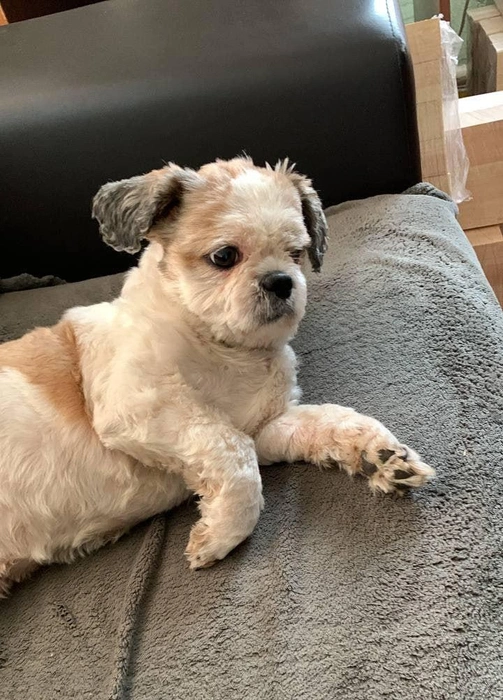 Источник: читатель 63.RU