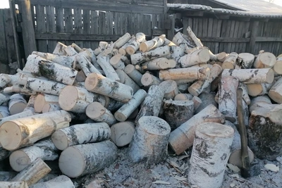 В Забайкалье стартует выплата на дрова для участников СВО