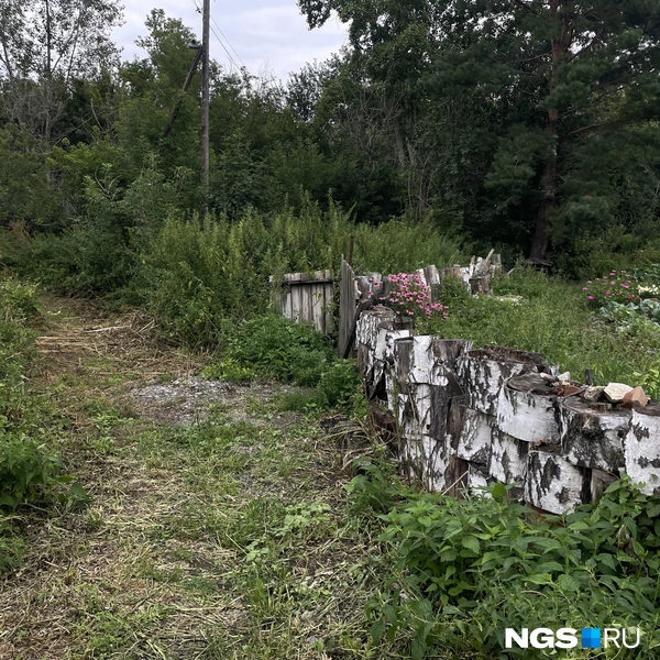 От избушек тропа ведет в сторону леса | Источник: Алёна Золотухина / NGS.RU