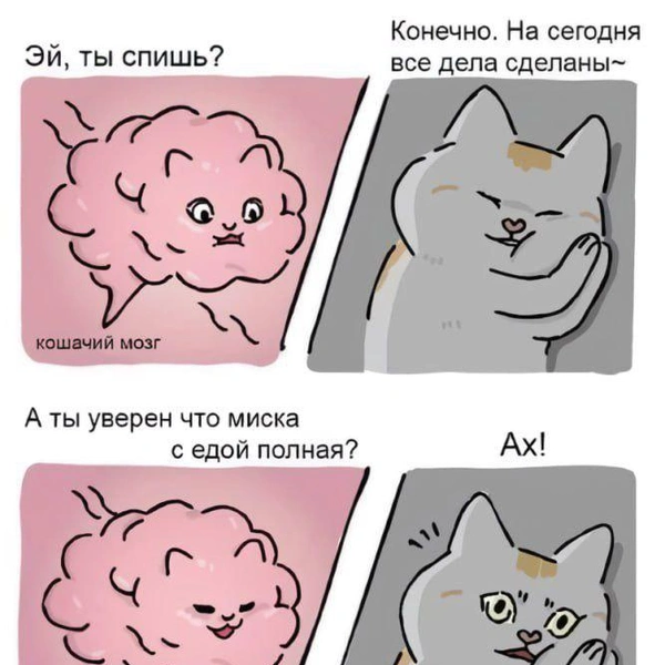 19 картинок недели и паук в джинсах | maximonline.ru