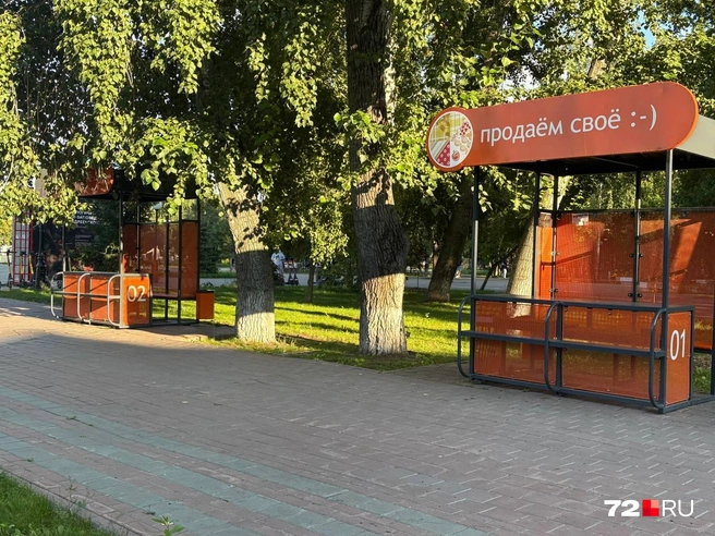 Два специально оборудованных места для продажи в районе площади Текутьевского кладбища. В день репортажа здесь никого не было  | Источник: Мария Токмакова / 72.RU
