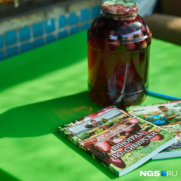 Анатолий Степанович написал две книги для дачников: про виноград и про малину с ежевикой | Источник: Александр Ощепков / NGS.RU