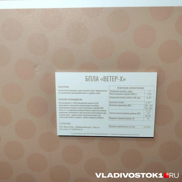 Источник: Татьяна Акишина / VLADIVOSTOK1.RU