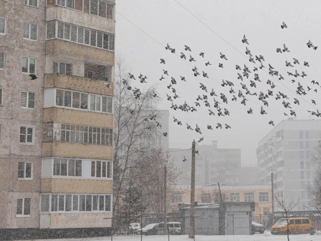 Периоды затяжных дождей чередовались с сильными снегопадами. | Источник: Артем Бауман / 76.RU