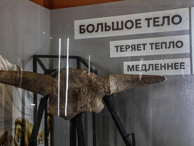Берём это правило на заметку | Источник: Наталья Бурухина / NN.RU