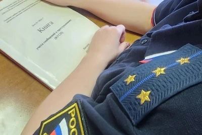 Житель Майнского района получил 8 месяцев тюрьмы за долги по алиментам