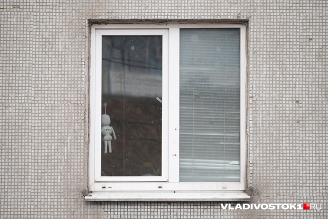 Источник: Елена Буйвол / VLADIVOSTOK1.RU