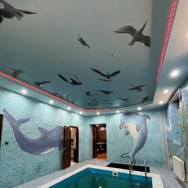 Дельфины и птицы на потолке частенько встречаются в интерьерах 2000-х годов в России | Источник: Avito.ru