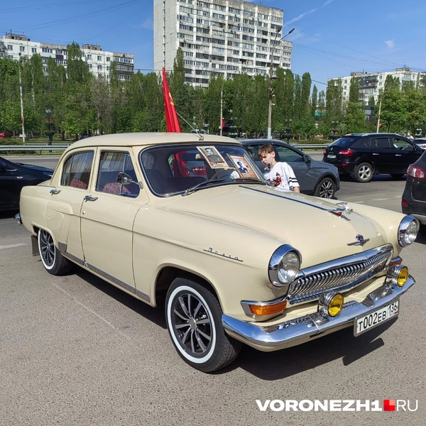 Источник: Андрей Пашинский / Voronezh1.ru
