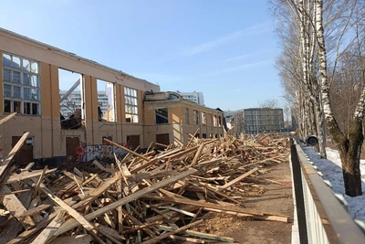 В парке Южного Тушино вырубают деревья для спорткомплекса