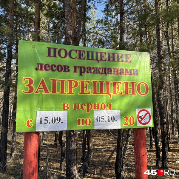 Источник: Кирилл Митин