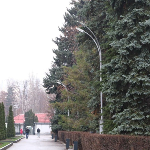 Источник: t.me/saratovduma