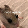 userpic__evelina