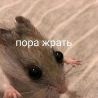 Аватарка evelina