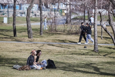 Жара до +28 сменится дождями и грозами в Новосибирской области
