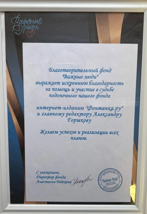 Благодарность от Благотворительного фонда «Важные люди» за помощь и участие в судьбе подопечного фонда | Источник: Редакция сайта