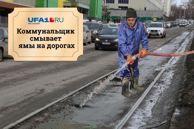 Источник: Тимур Шарипкулов, Дмитрий Гладышев/74.ru