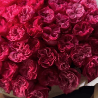 Аватарка Telva