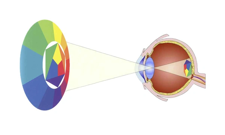 Как глаз различает цвета?