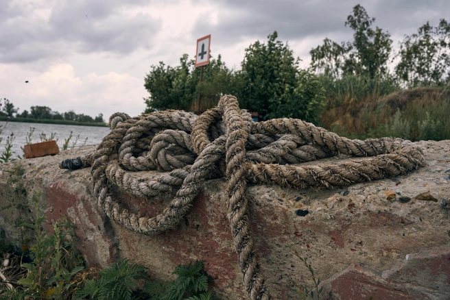 Источник: Артем Марьенко / 161.RU