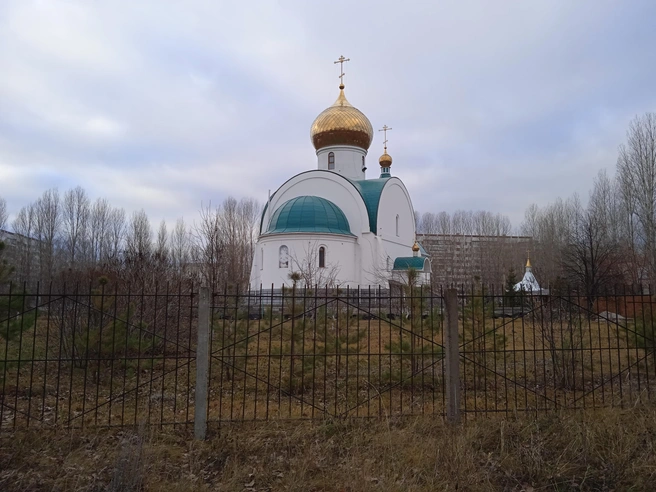 В Заволжском районе Ульяновска пройдет крестный ход | Источник: Дмитрий Сильнов / 173. RU