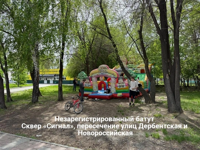 Источник: Минсельхоз Челябинской области / Vk.com