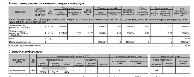 Девушка заметила, что подавала документы на электроотопление, но все равно получила расчёт на 11 тысяч | Источник: Виктория, подписчица «ИрСити»