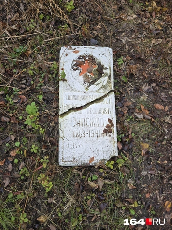 Захоронение 1941 года в земле | Источник: Семен Коротов-Майбах / 164.RU