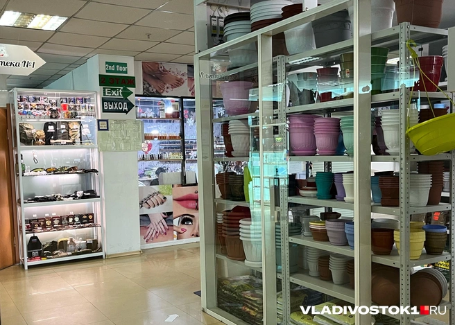 Источник: Елена Буйвол / VLADIVOSTOK1.RU