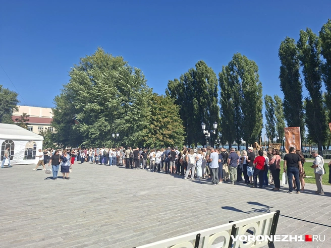 Воронежцы несколько часов стояли в очереди прямо на солнцепеке, чтобы получить автограф Прилепина | Источник: Алёна Воропаева / Voronezh1.ru