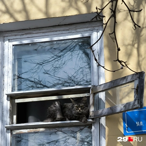 Источник: Юрий Скородумов / 29.RU