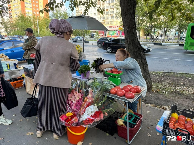 500 рублей&nbsp;— букет из пяти гладиолусов, цинния&nbsp;— 250 рублей | Источник: Анастасия Малышкина / 72.RU 