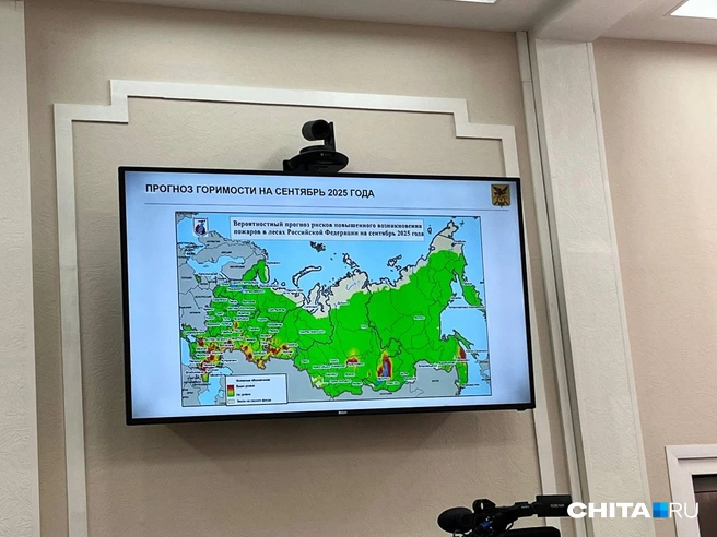 Источник: Александр Хамраев / СHITA.RU