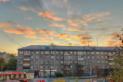 В Красноярске впервые за два года ввели карантин по бешенству