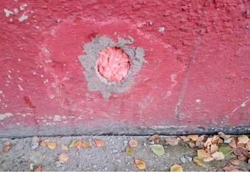 Из подвала доносилось мяуканье | Источник: Предоставила Мария