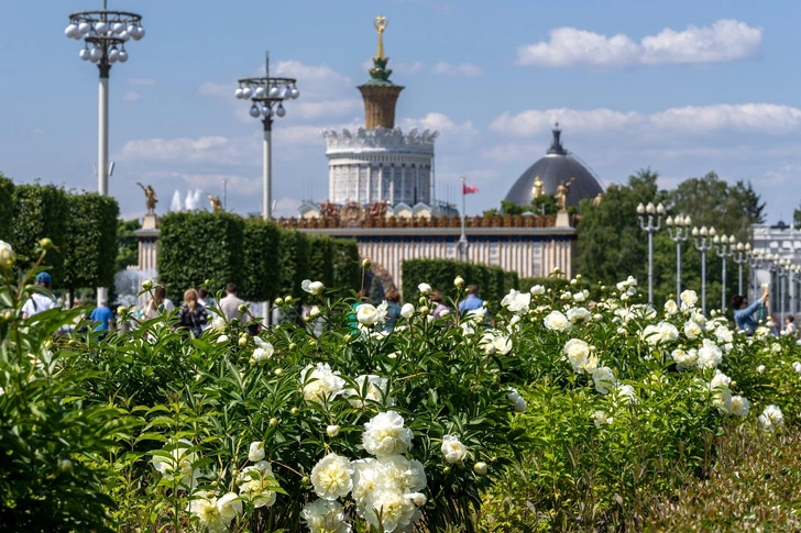 Источник: пресс-служба ВДНХ