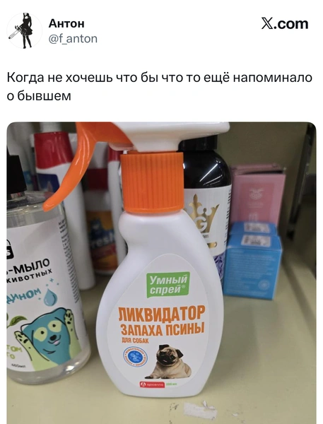 Источник: X (Twitter)