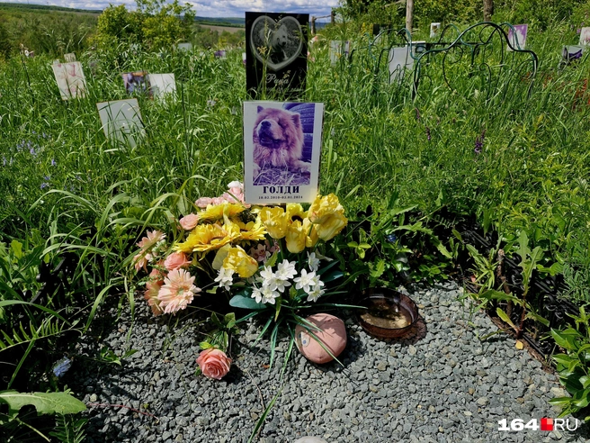 На могилке Голди оставили цветы | Источник: Виктория Федорова / 164.RU