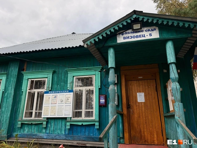 Источник: Дарья Костомина / E1.RU