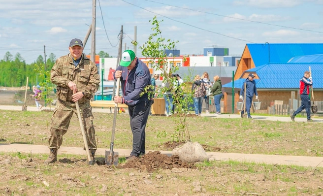 Молодые яблоньки стали дополнительным украшением прогулочных дорожек | Источник: Тарас Галимский