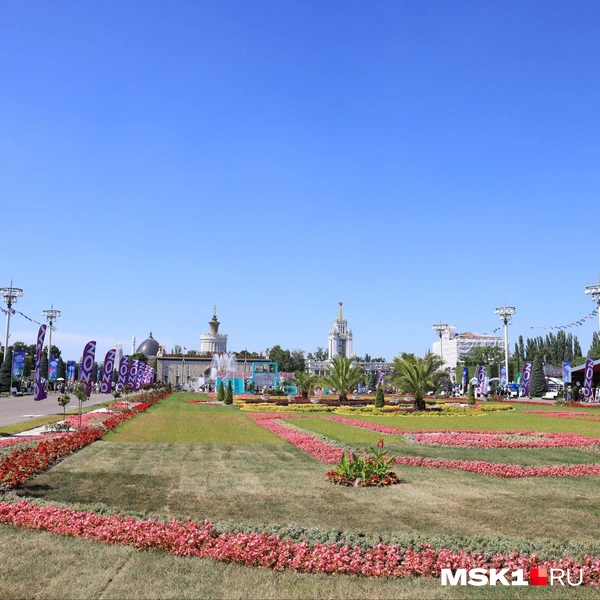 Источник: Татьяна Спиридонова / MSK1.RU