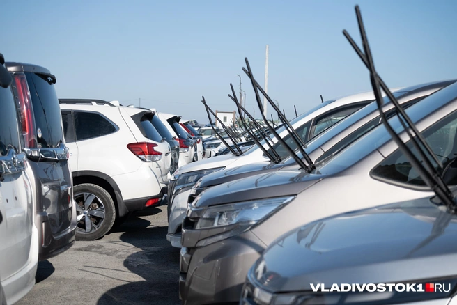 Составить новый единый акт должен Минпромторг | Источник: Елена Буйвол / VLADIVOSTOK1.RU