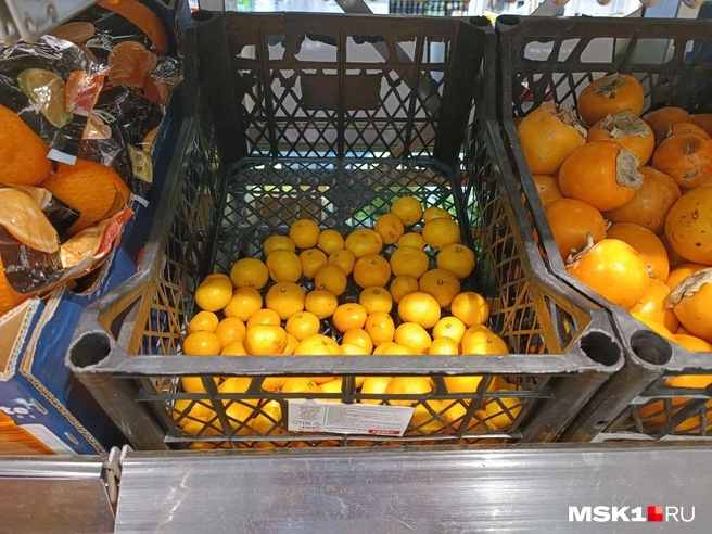 Источник: Анастасия Харитонова / MSK1.RU