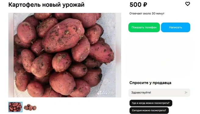 Источник: Avito.ru