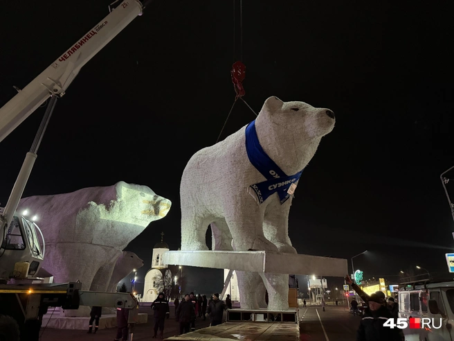 Источник: Юлия Король / 45.RU