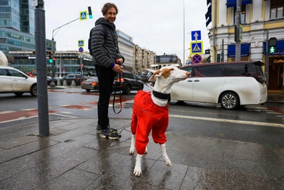 Синоптик рассказала, когда в Москве потеплеет