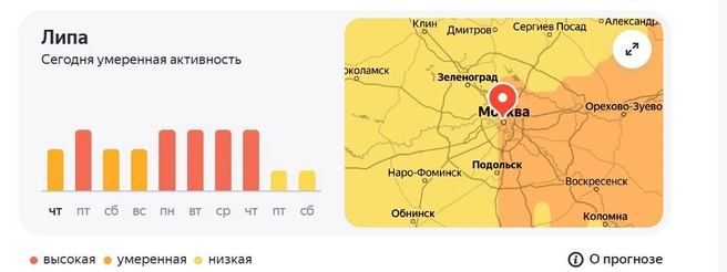 Липа взяла Москву в удушающие объятия | Источник: «Яндекс. Погода»