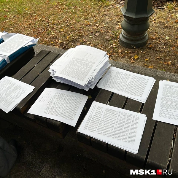 Источник: Римма Багдасарян / MSK1.RU