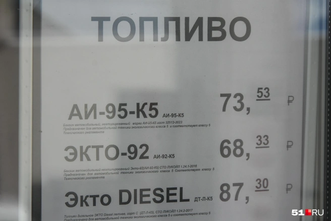 Источник: Александра Балаба / 51.RU